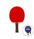 Pala Ping Pong Softee P100