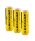 Pack 3 Botes de Pelotas Dunlop Team Padel