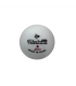 Pelota Ping Pong Dunlop 40+ Club Training