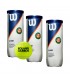 Pack 3 Botes de pelotas Wilson Roland Garros Para Todas Las Pistas