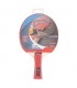 Pala Ping Pong EQSI